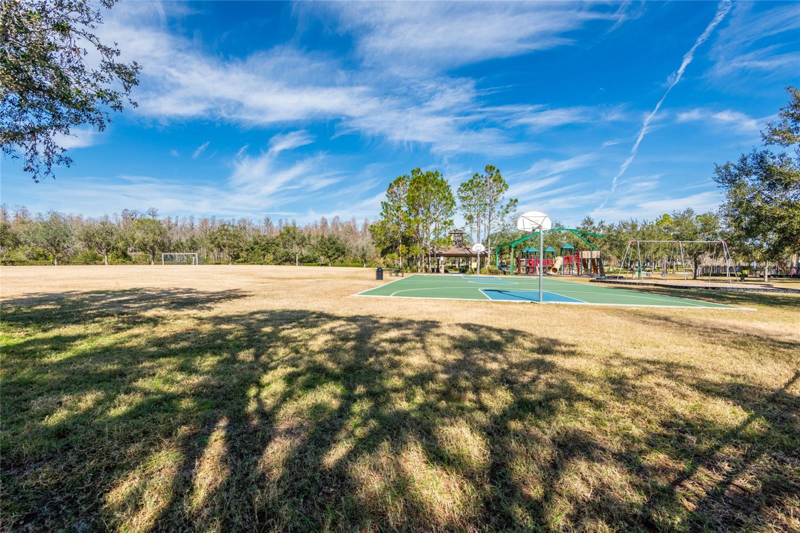 30509 PECAN VALLEY LOOP, WESLEY CHAPEL, FL, 33543