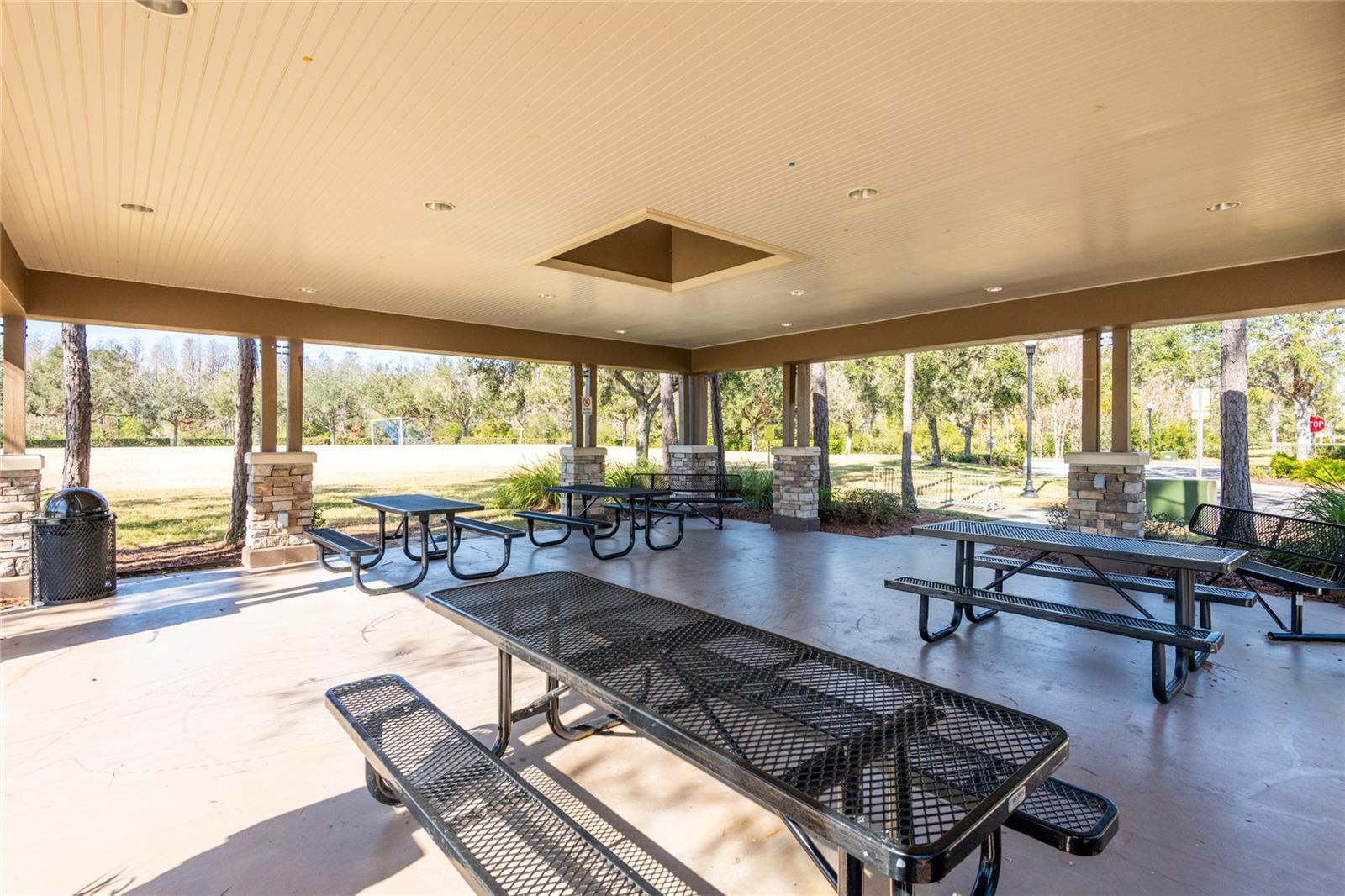 30509 PECAN VALLEY LOOP, WESLEY CHAPEL, FL, 33543