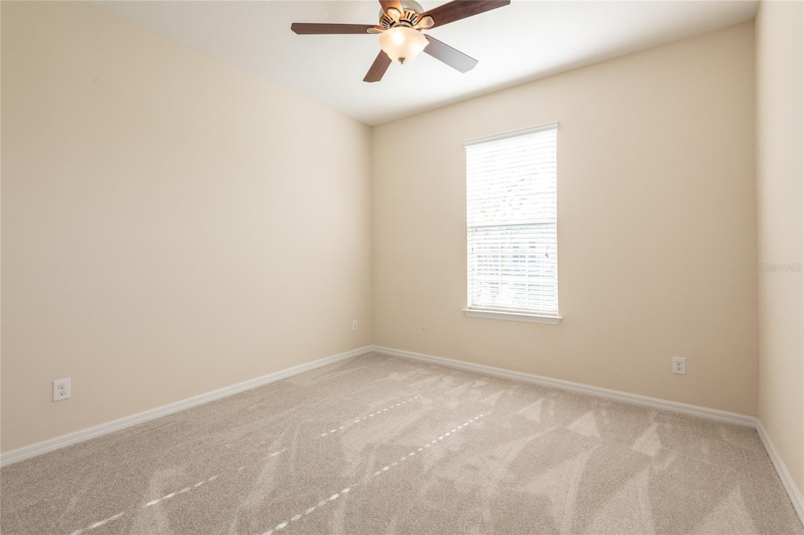 30509 PECAN VALLEY LOOP, WESLEY CHAPEL, FL, 33543