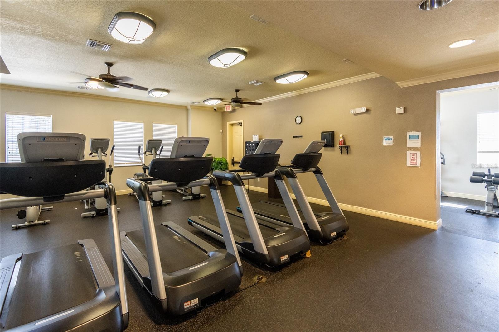 30509 PECAN VALLEY LOOP, WESLEY CHAPEL, FL, 33543