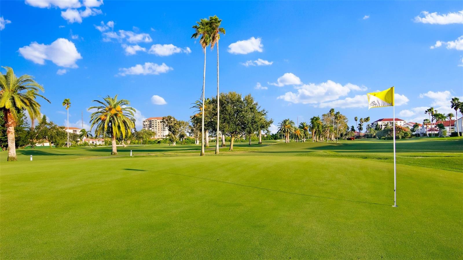 6191 BAHIA DEL MAR BLVD #201, ST PETERSBURG, FL, 33715