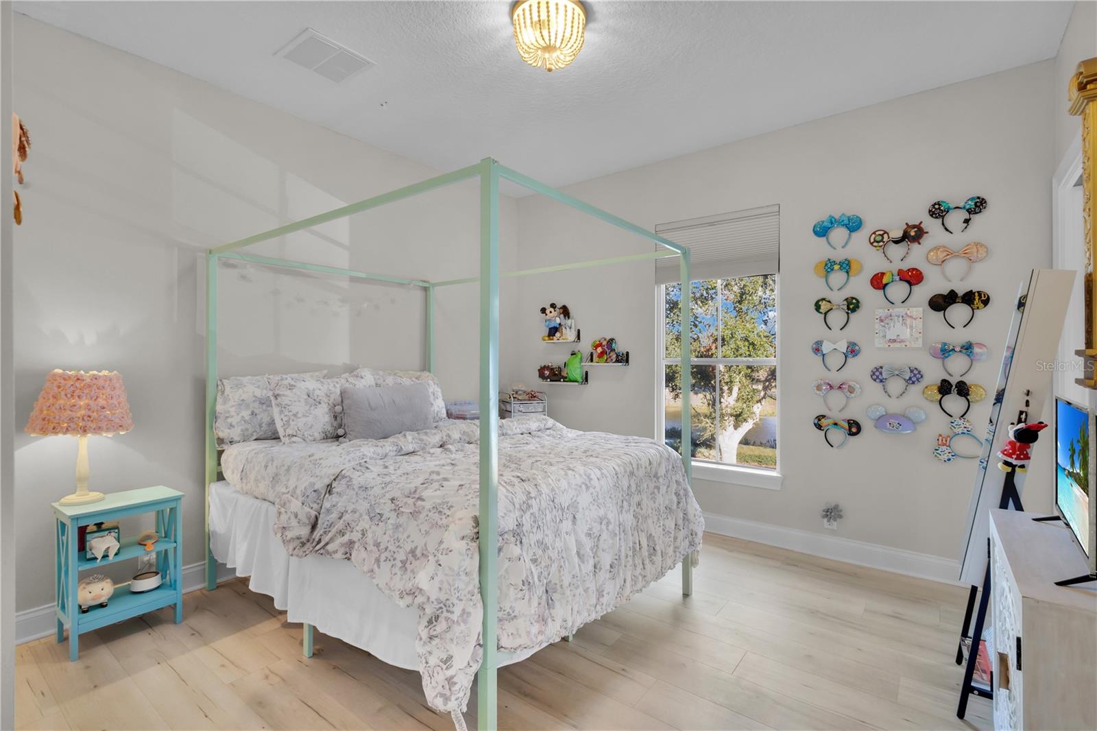11401 CAMDEN PARK DR, WINDERMERE, FL, 34786