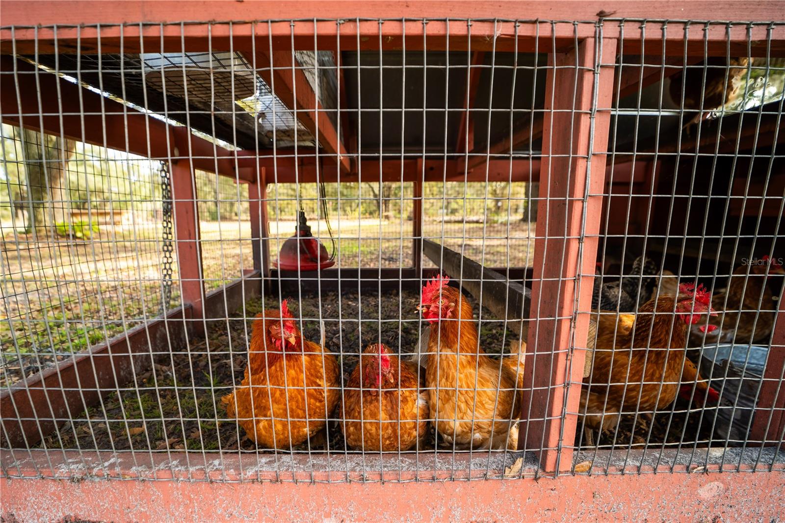 4999 DISSTON DR, ST CLOUD, FL, 34771