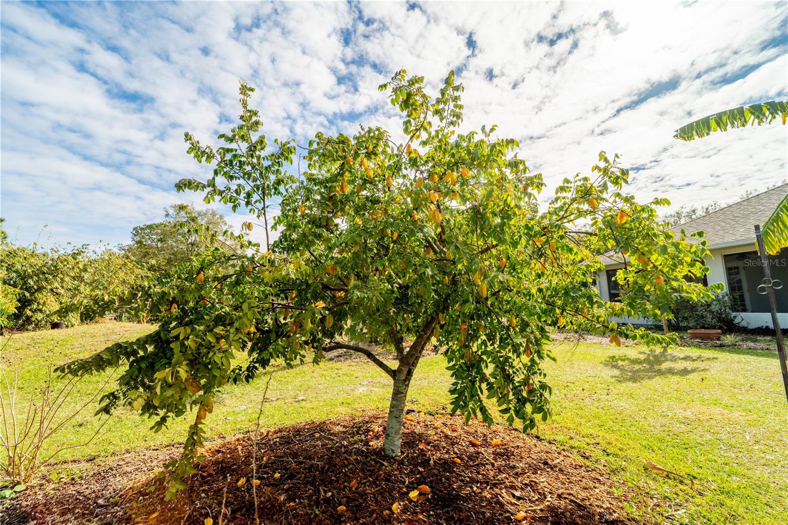 4999 DISSTON DR, ST CLOUD, FL, 34771