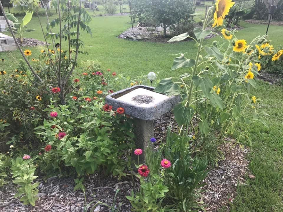 4999 DISSTON DR, ST CLOUD, FL, 34771