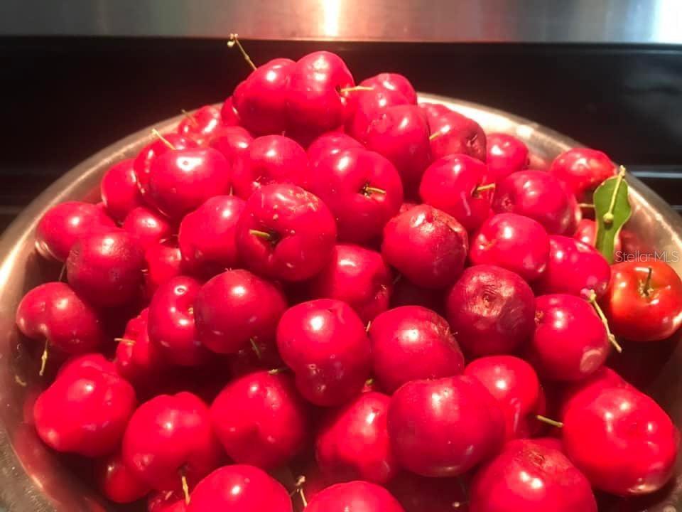 4999 DISSTON DR, ST CLOUD, FL, 34771