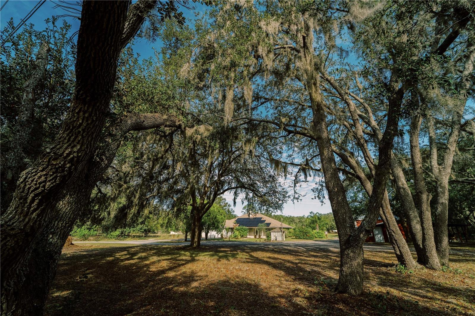 4999 DISSTON DR, ST CLOUD, FL, 34771