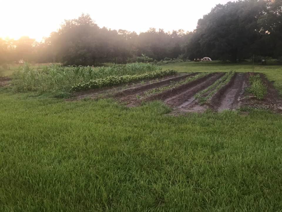 4999 DISSTON DR, ST CLOUD, FL, 34771