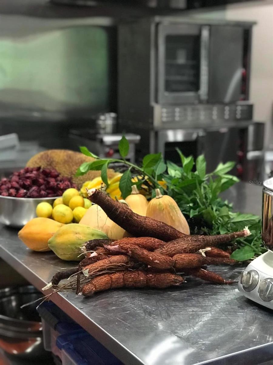 4999 DISSTON DR, ST CLOUD, FL, 34771