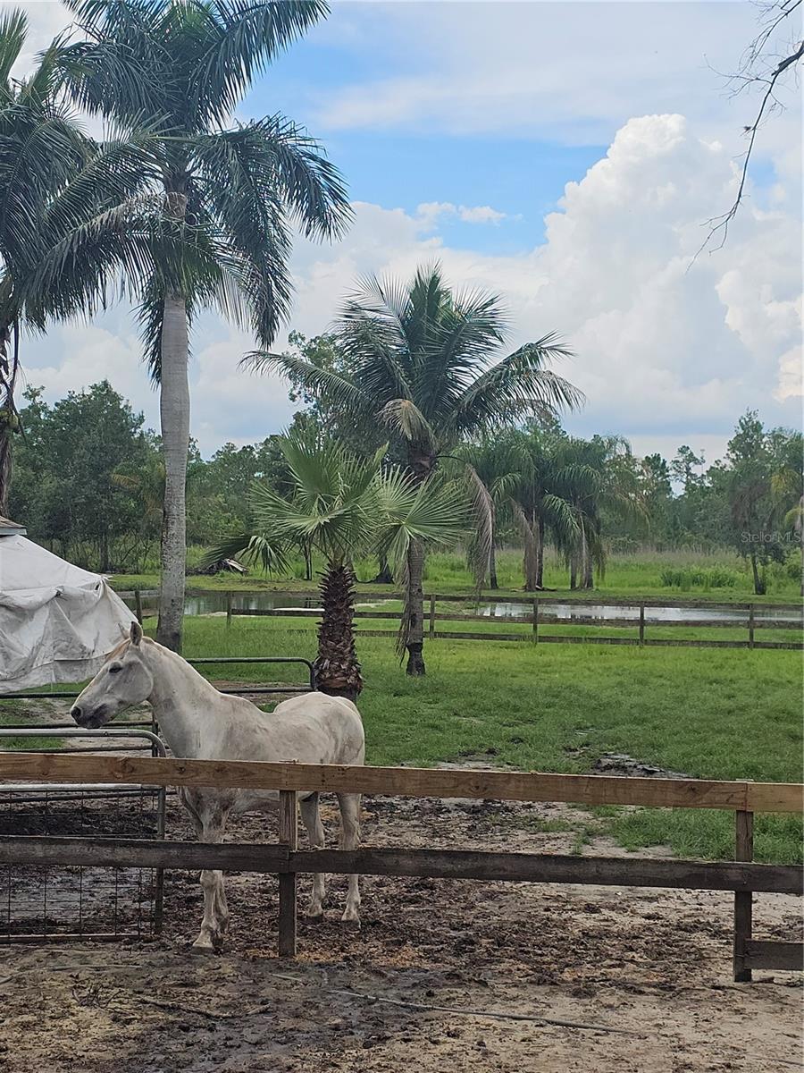 208 LIMPKIN LN, FROSTPROOF, FL, 33843