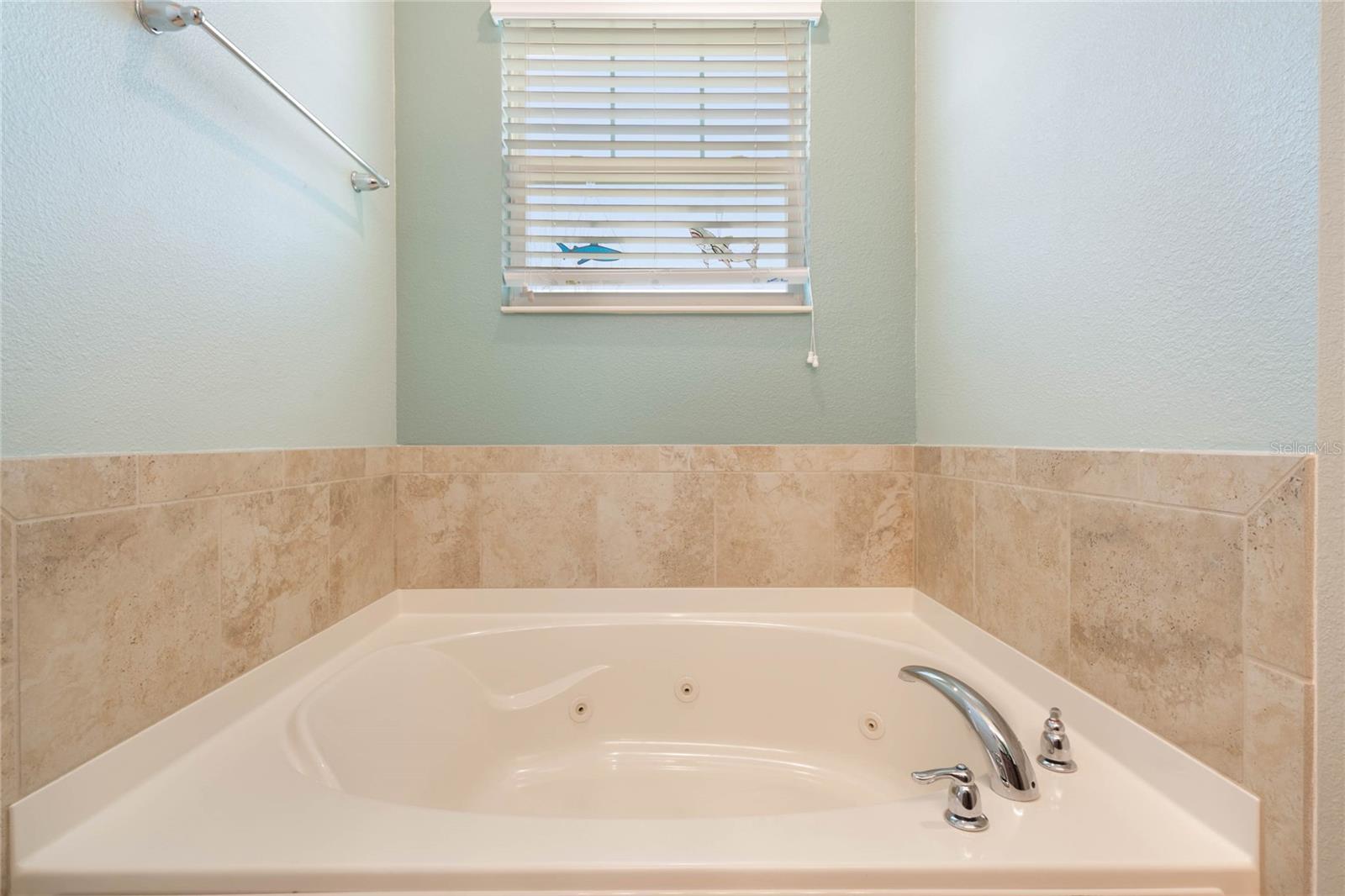 14694 SETON CREEK BLVD, WINTER GARDEN, FL, 34787