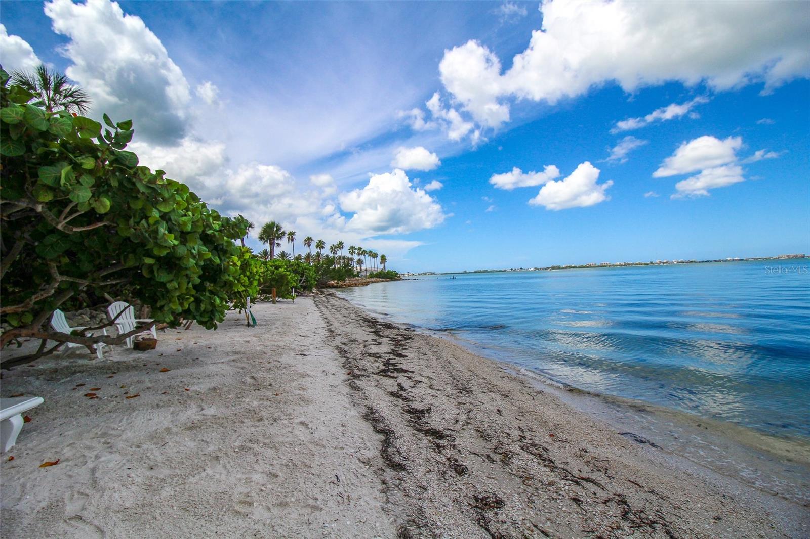 11 SUNSET DR #304, SARASOTA, FL, 34236