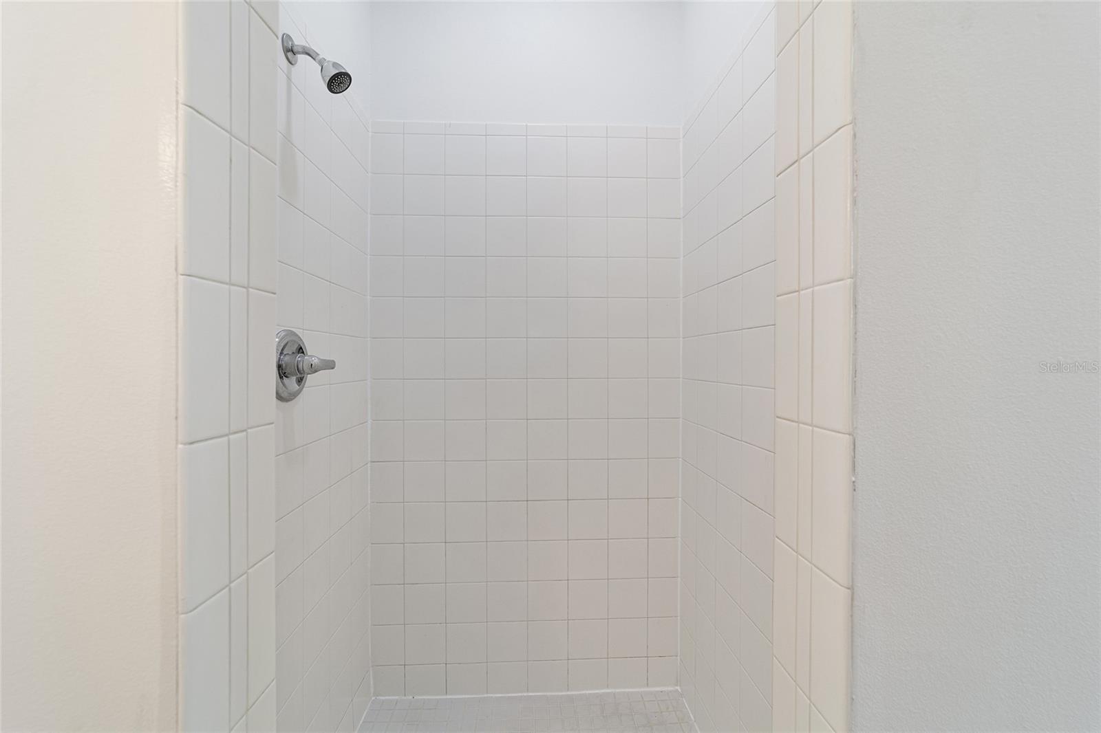 4107 NE 58TH CIR, SILVER SPRINGS, FL, 34488