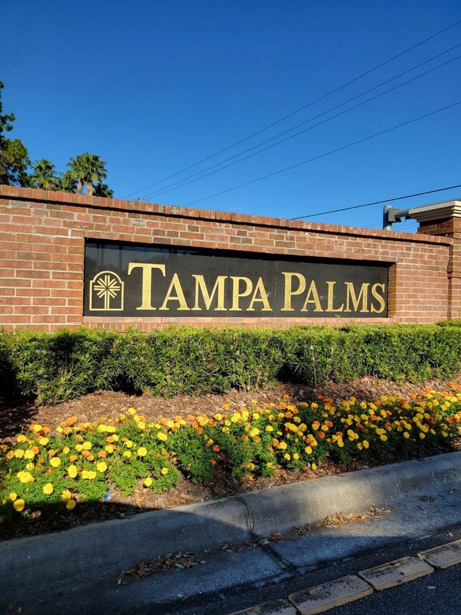 17110 CARRINGTON PARK DR #826, TAMPA, FL, 33647