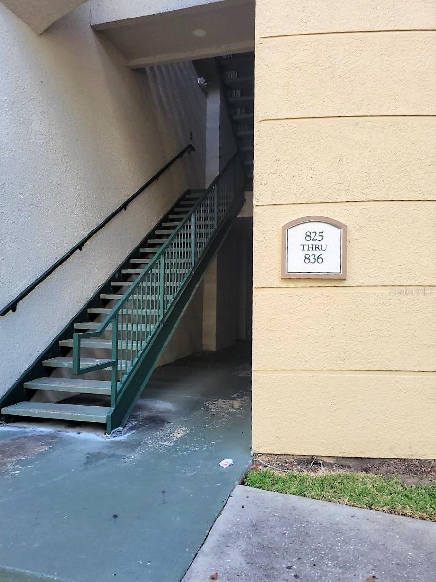 17110 CARRINGTON PARK DR #826, TAMPA, FL, 33647