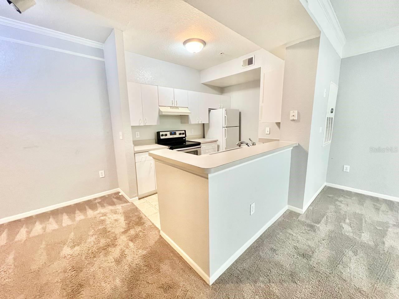 17110 CARRINGTON PARK DR #826, TAMPA, FL, 33647