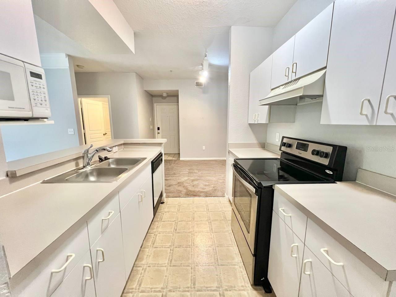 17110 CARRINGTON PARK DR #826, TAMPA, FL, 33647