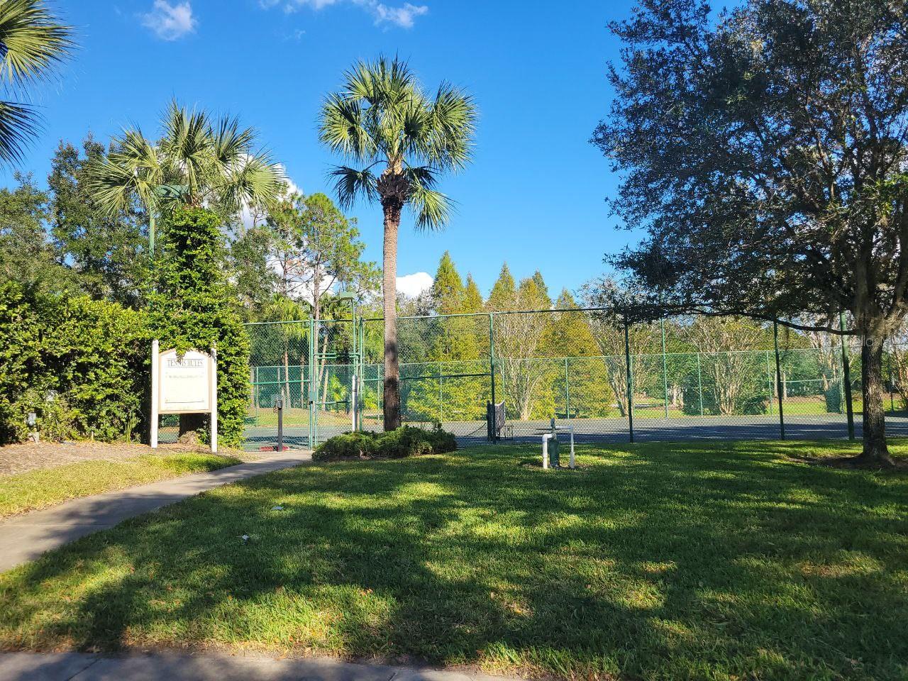 17110 CARRINGTON PARK DR #826, TAMPA, FL, 33647