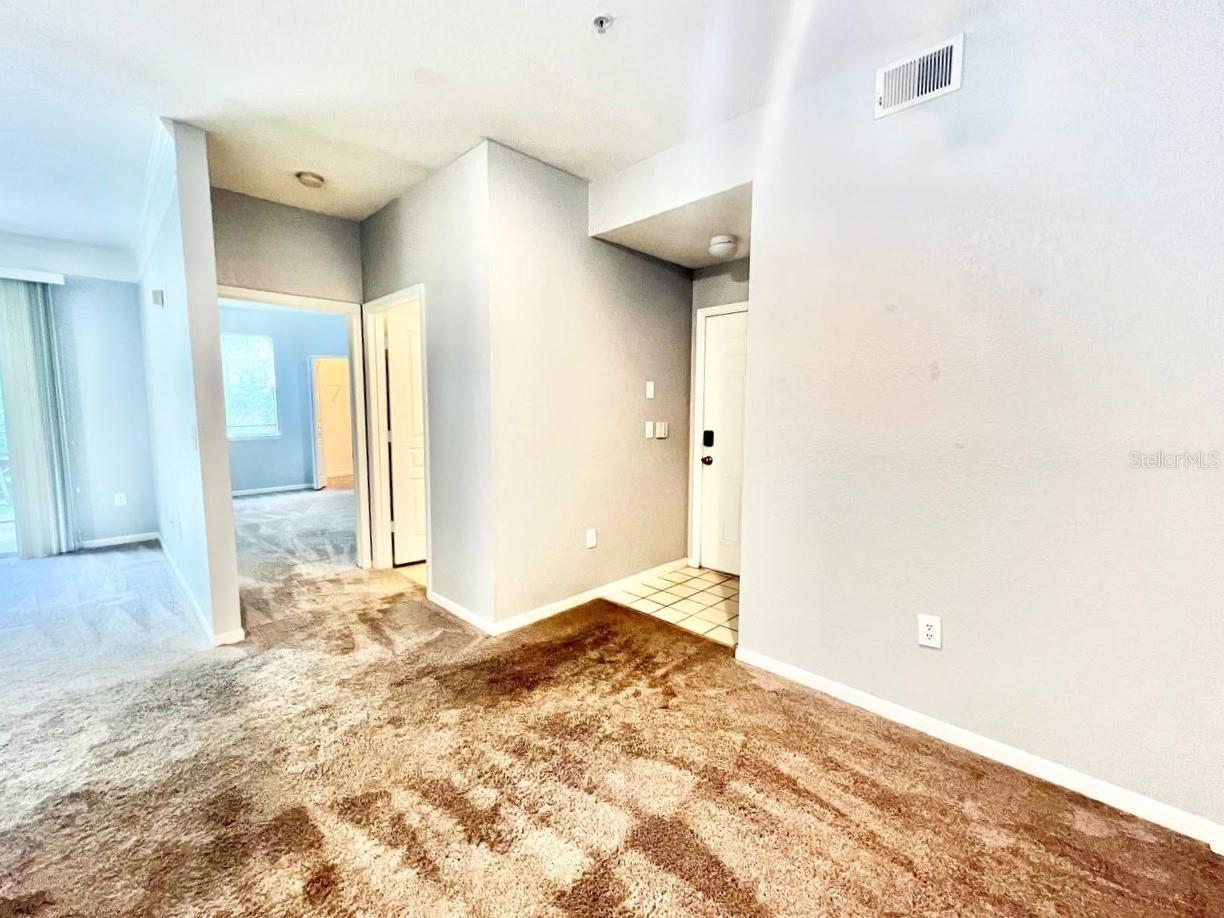 17110 CARRINGTON PARK DR #826, TAMPA, FL, 33647