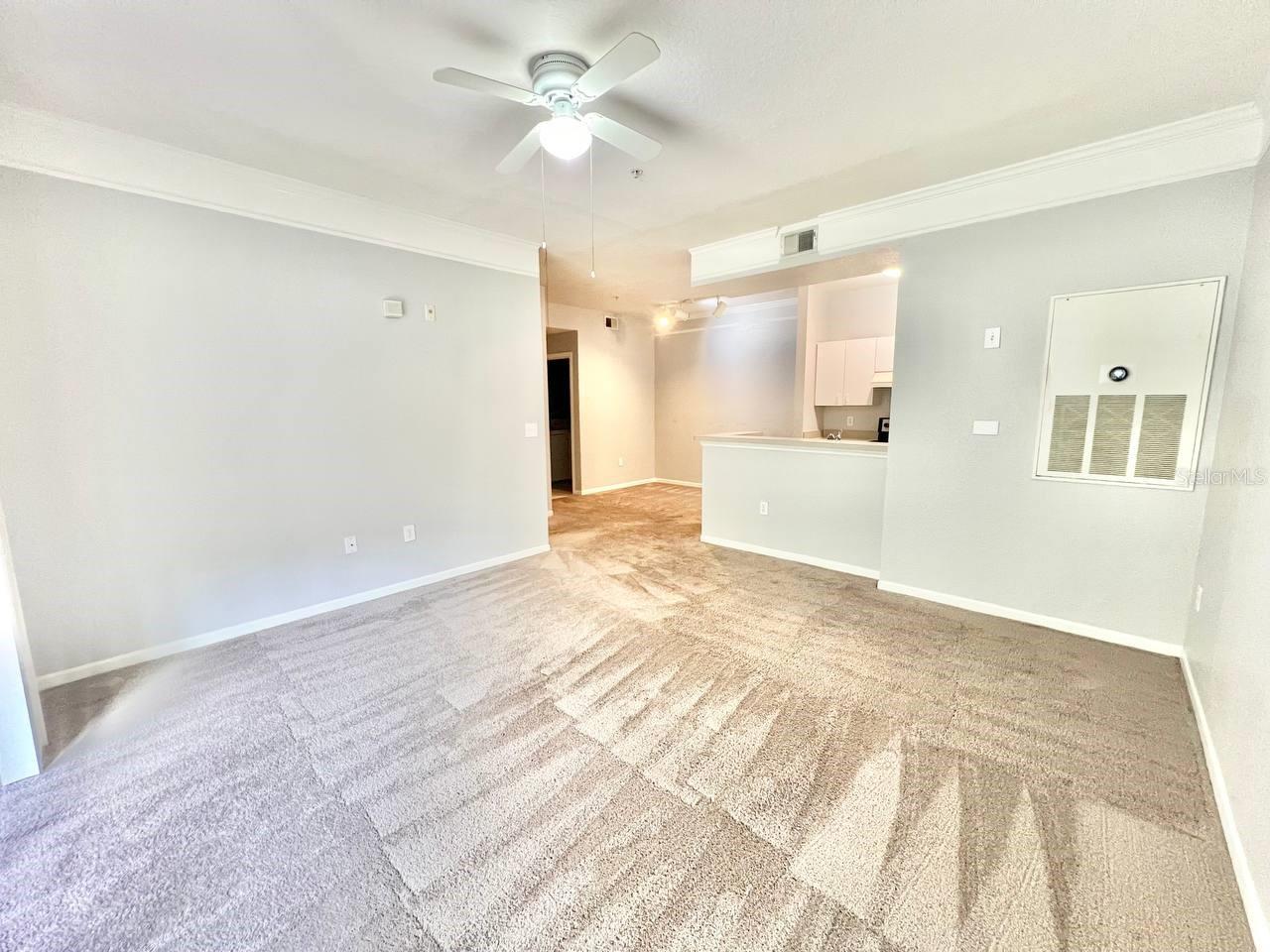 17110 CARRINGTON PARK DR #826, TAMPA, FL, 33647