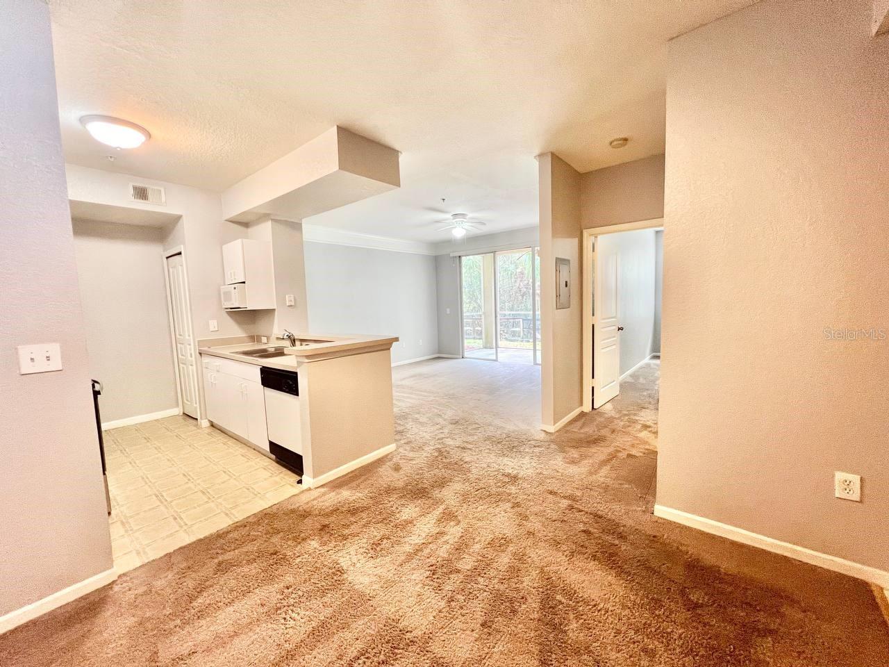 17110 CARRINGTON PARK DR #826, TAMPA, FL, 33647