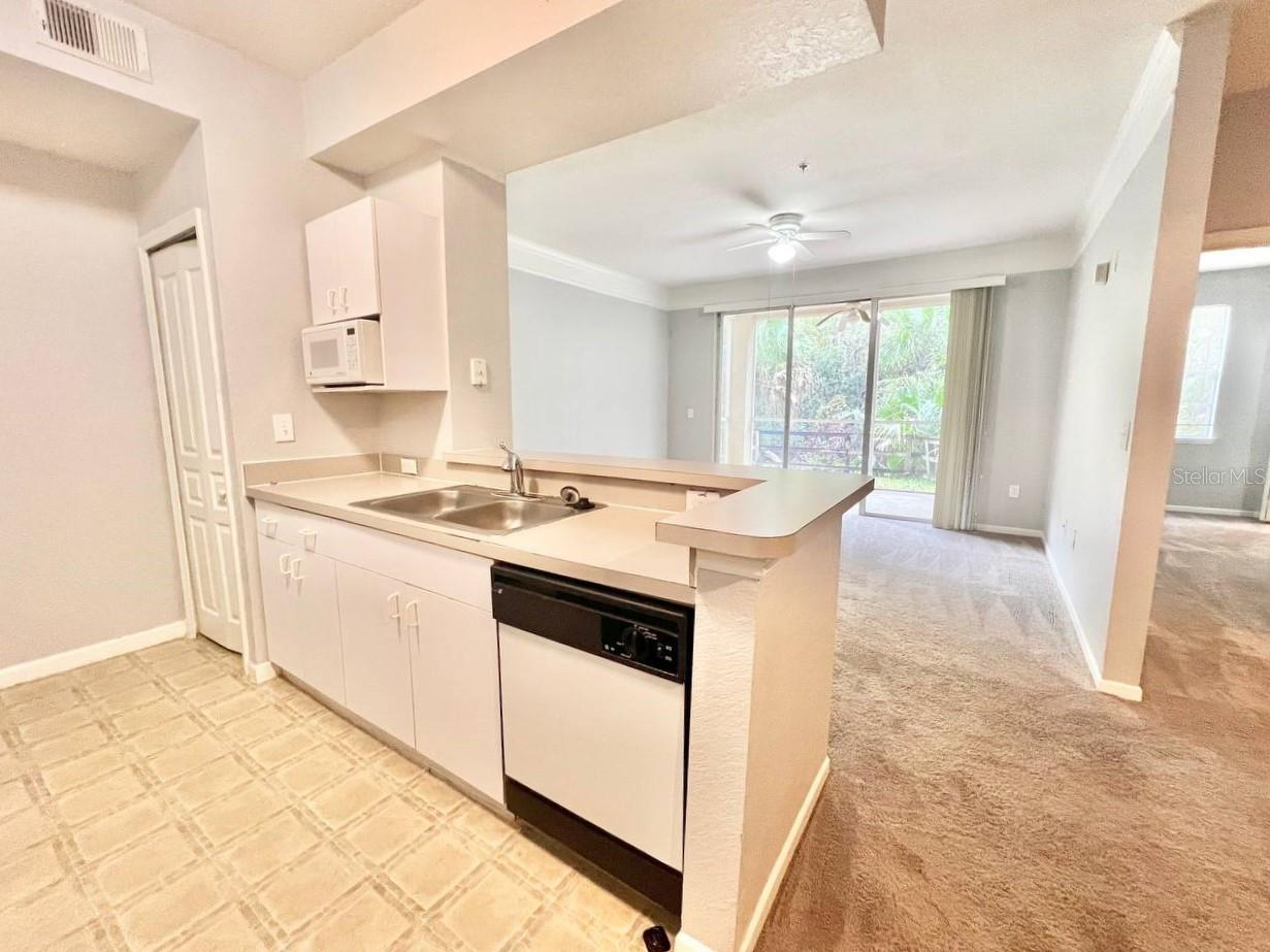 17110 CARRINGTON PARK DR #826, TAMPA, FL, 33647