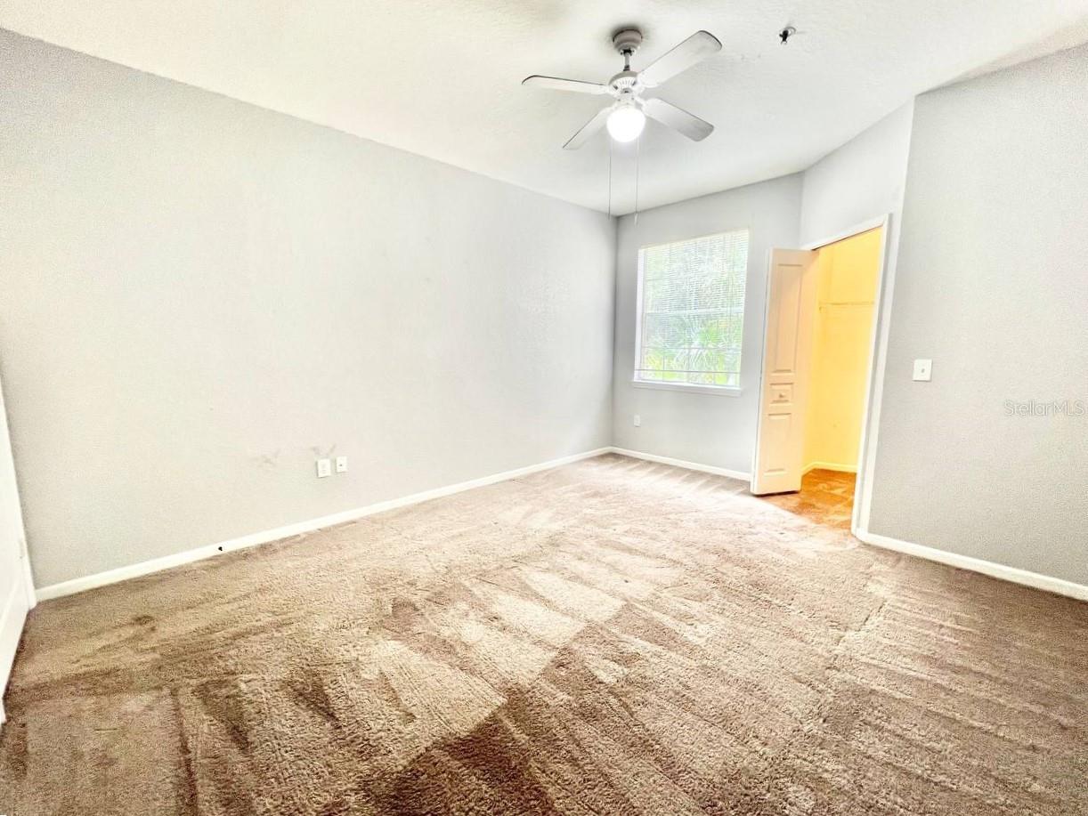 17110 CARRINGTON PARK DR #826, TAMPA, FL, 33647