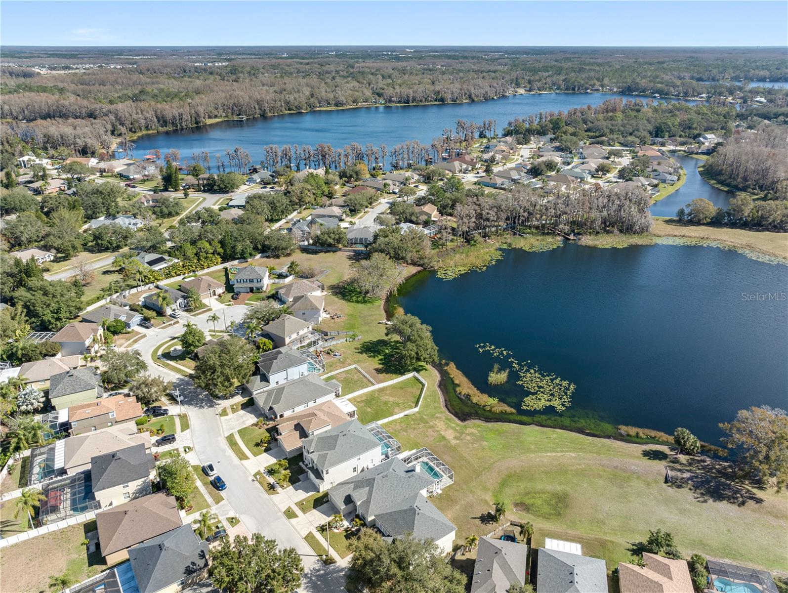 1312 BROOKE VIEW DR, ODESSA, FL, 33556