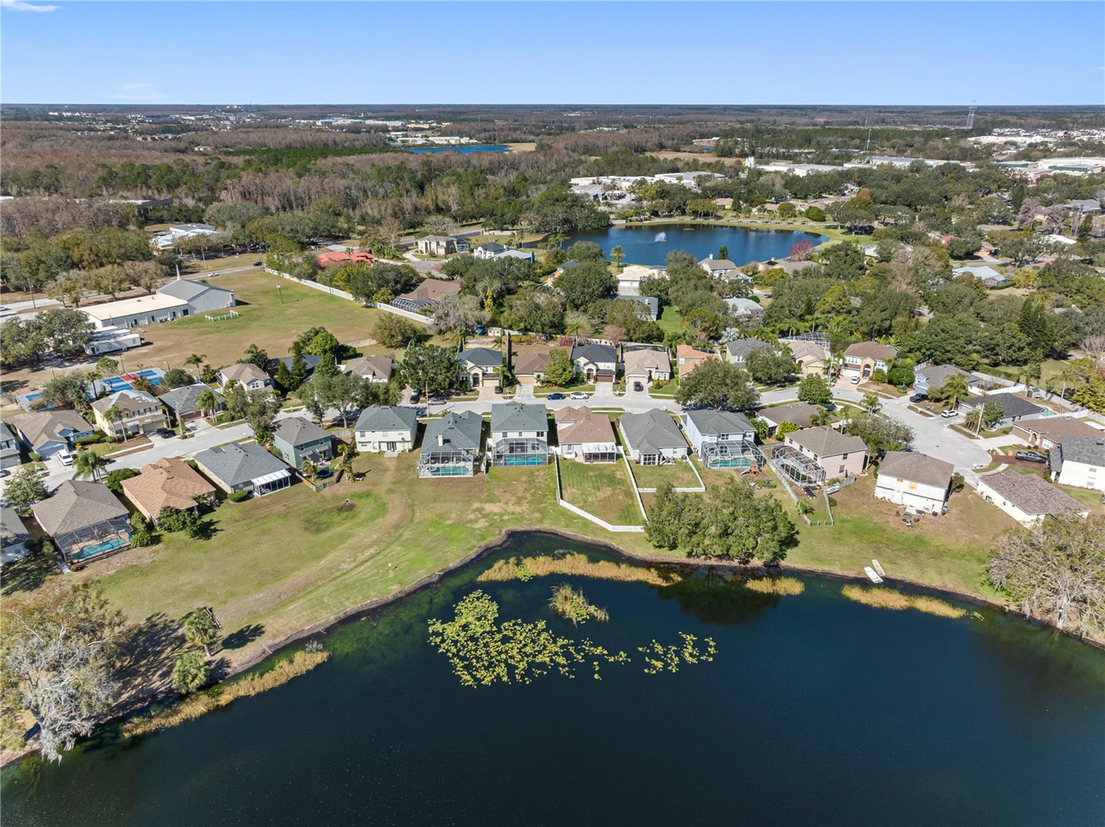 1312 BROOKE VIEW DR, ODESSA, FL, 33556