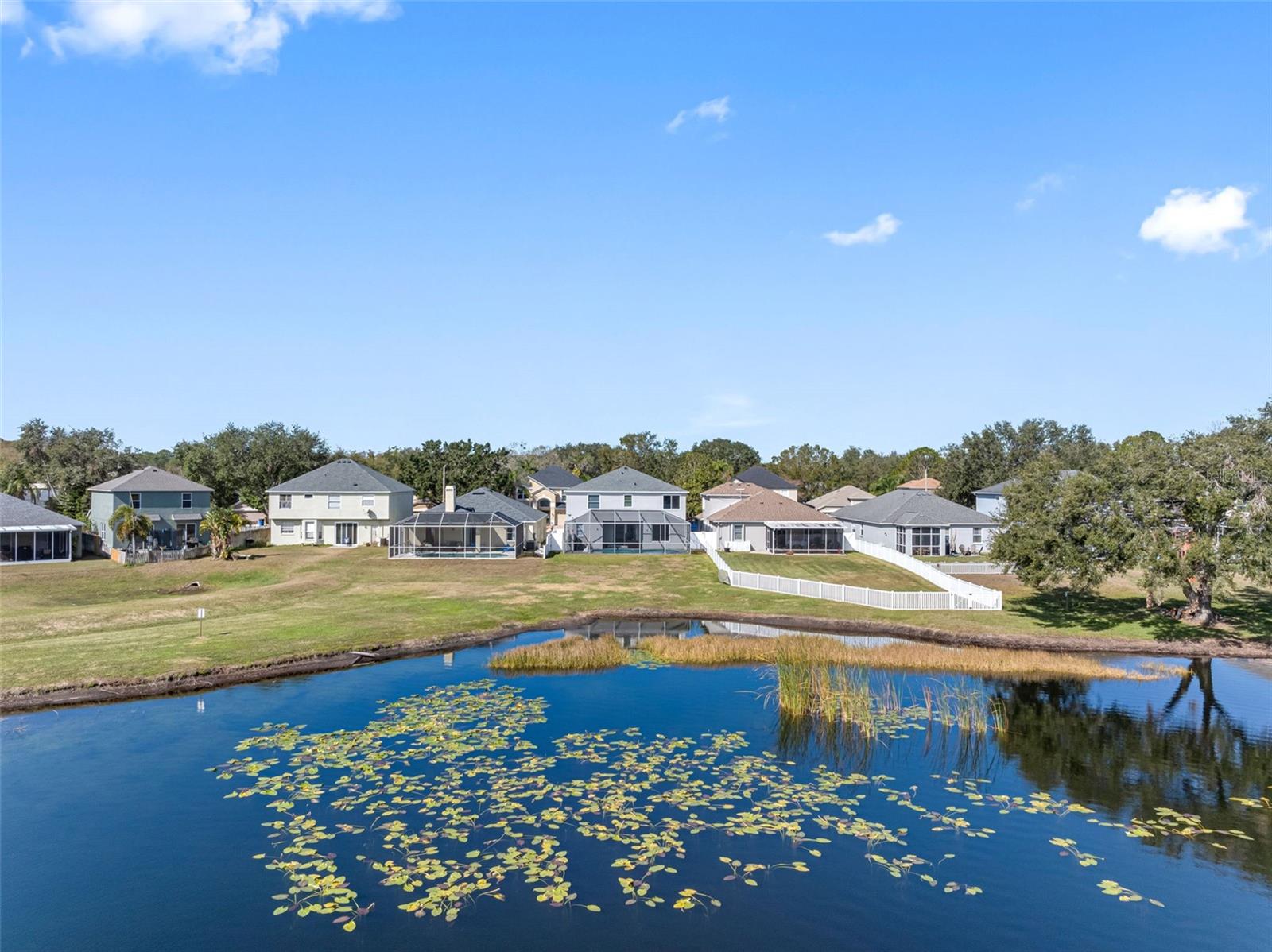 1312 BROOKE VIEW DR, ODESSA, FL, 33556