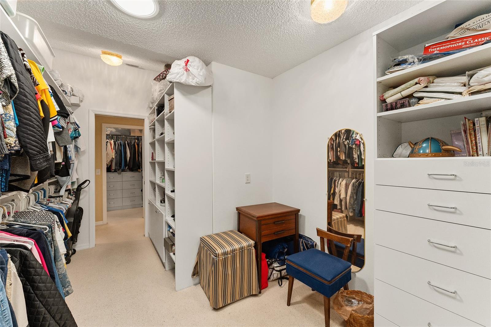 16679 SE 77TH NORTHRIDGE CT, THE VILLAGES, FL, 32162