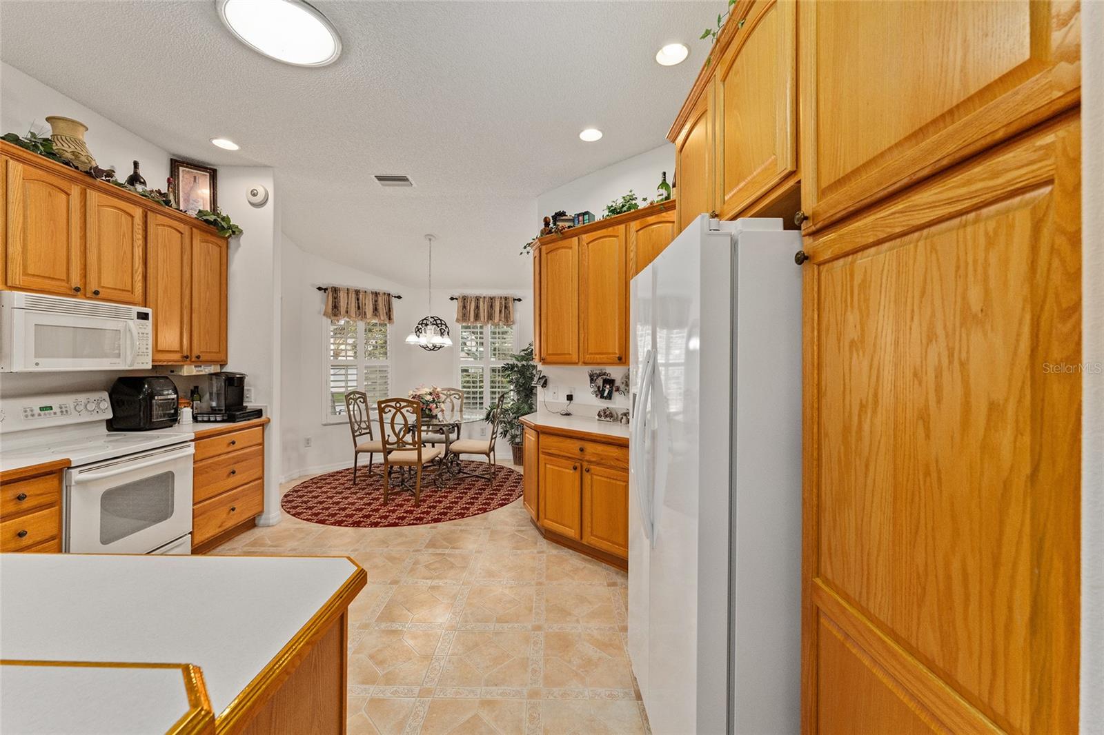 16679 SE 77TH NORTHRIDGE CT, THE VILLAGES, FL, 32162