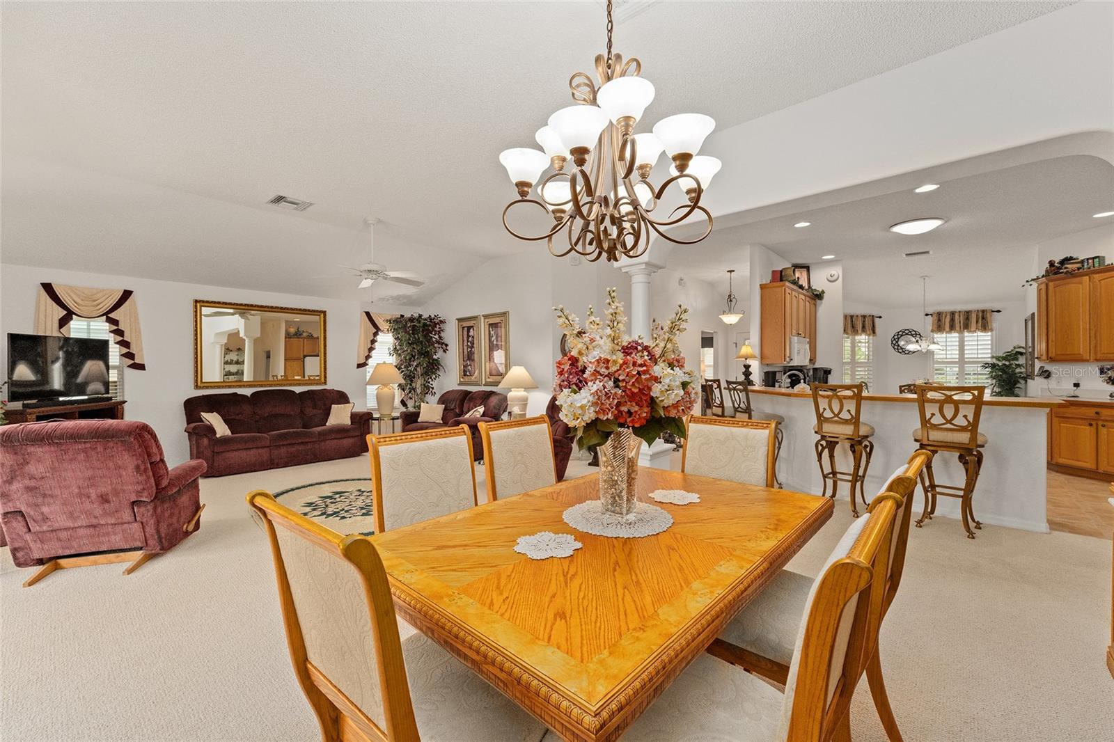 16679 SE 77TH NORTHRIDGE CT, THE VILLAGES, FL, 32162