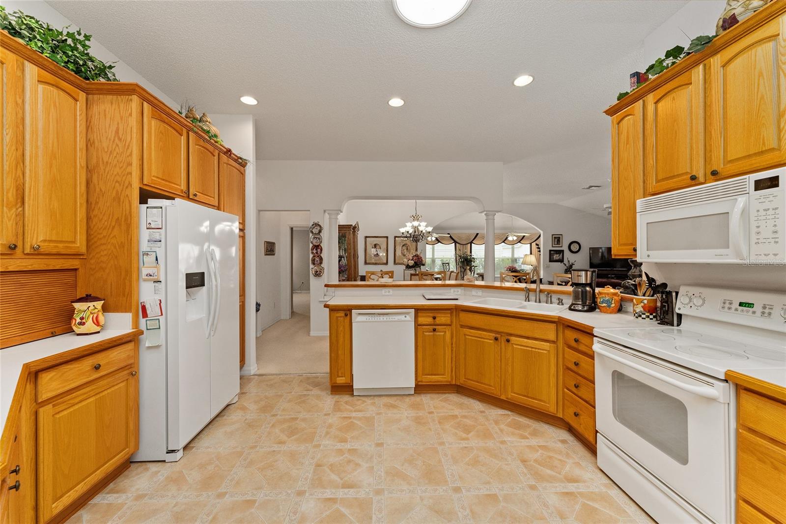 16679 SE 77TH NORTHRIDGE CT, THE VILLAGES, FL, 32162