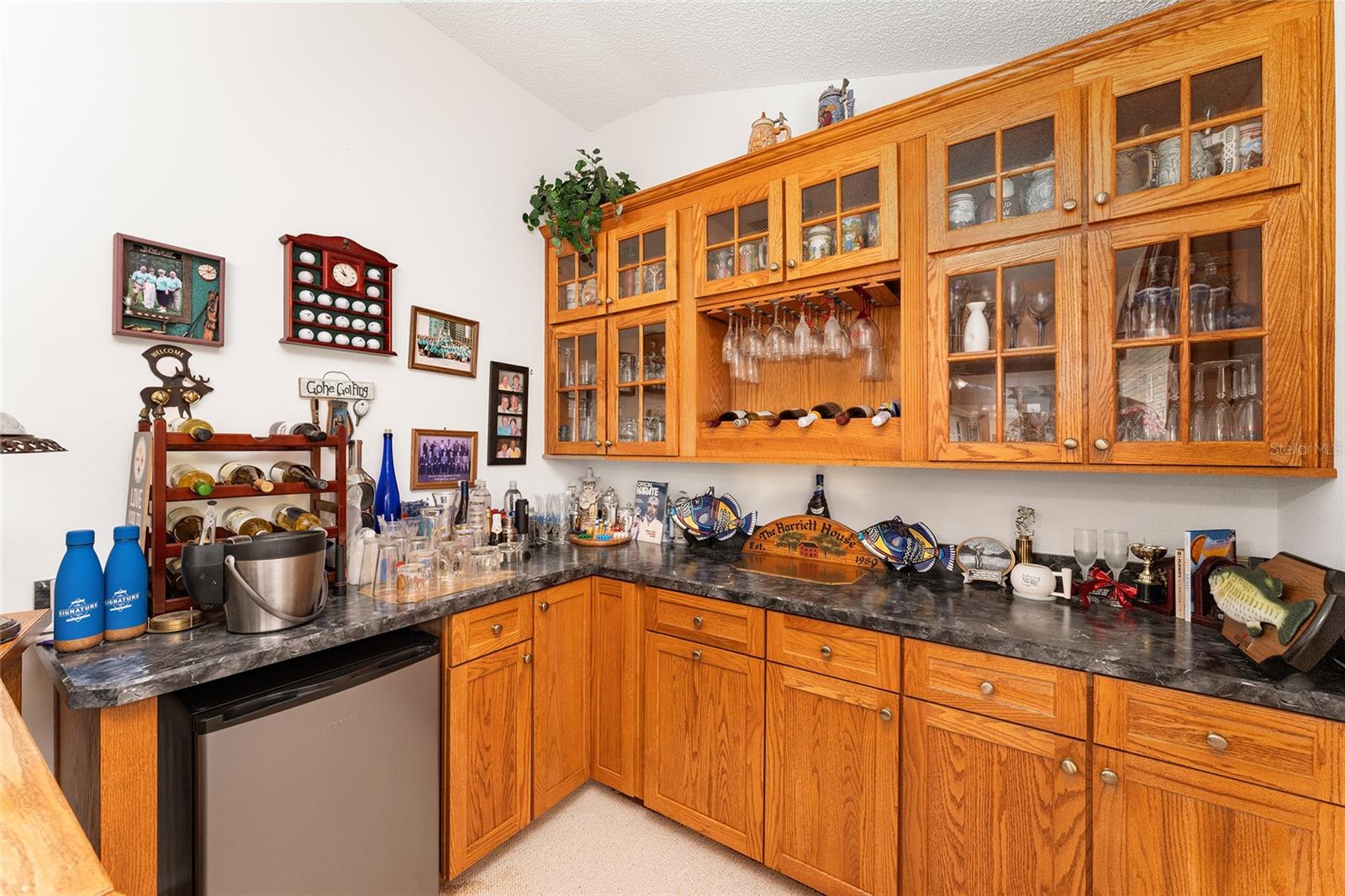 16679 SE 77TH NORTHRIDGE CT, THE VILLAGES, FL, 32162