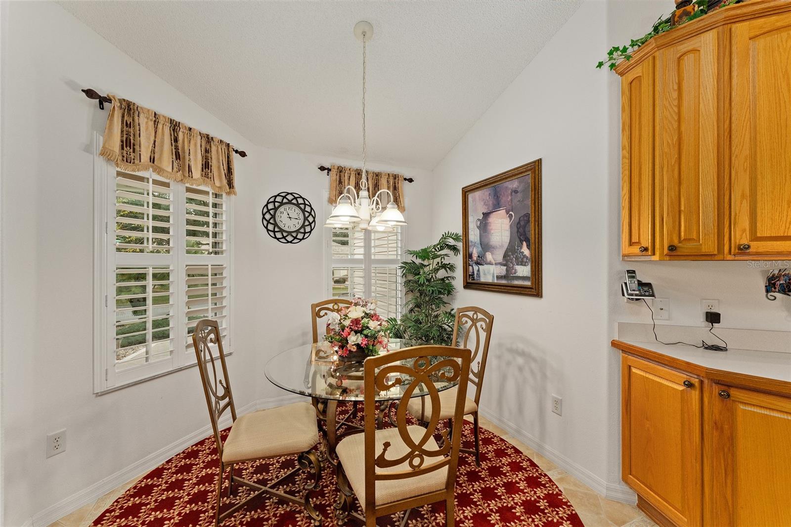 16679 SE 77TH NORTHRIDGE CT, THE VILLAGES, FL, 32162