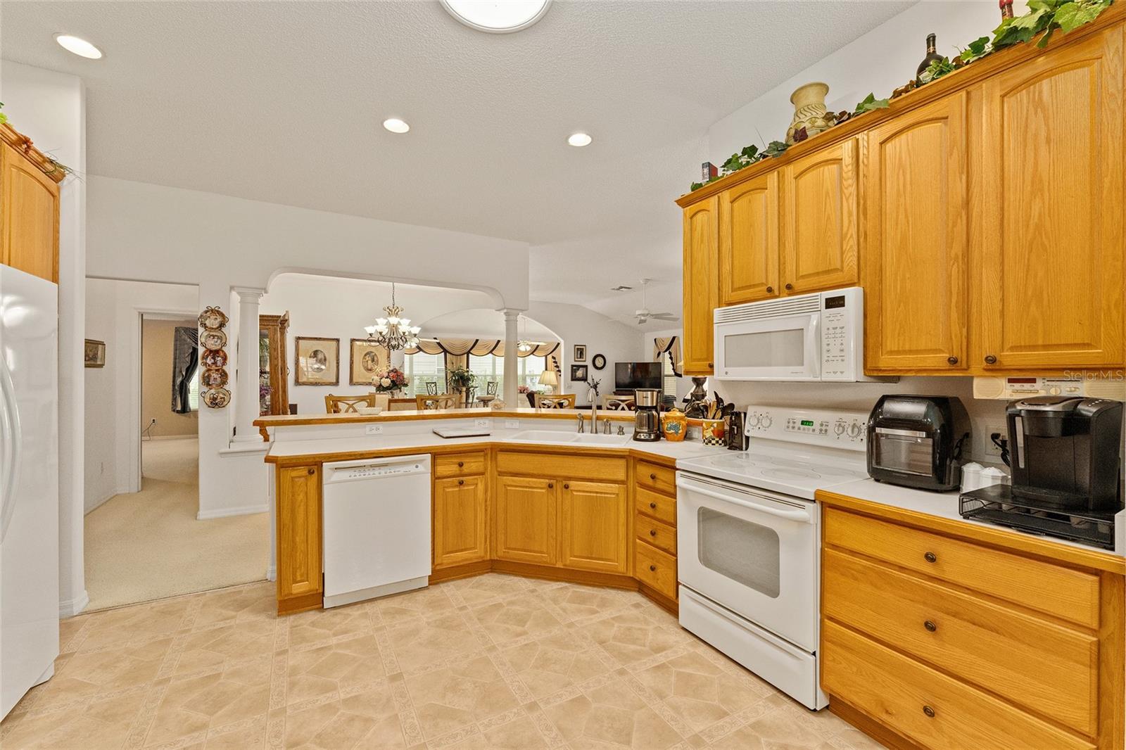 16679 SE 77TH NORTHRIDGE CT, THE VILLAGES, FL, 32162