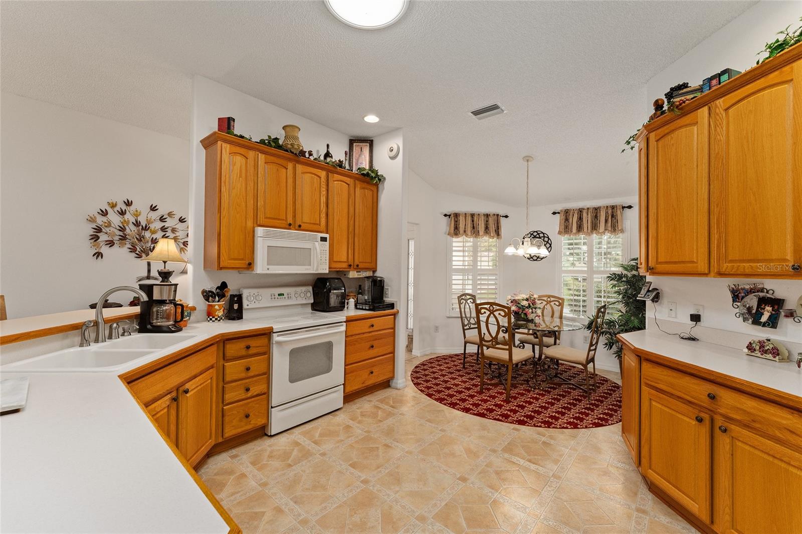 16679 SE 77TH NORTHRIDGE CT, THE VILLAGES, FL, 32162