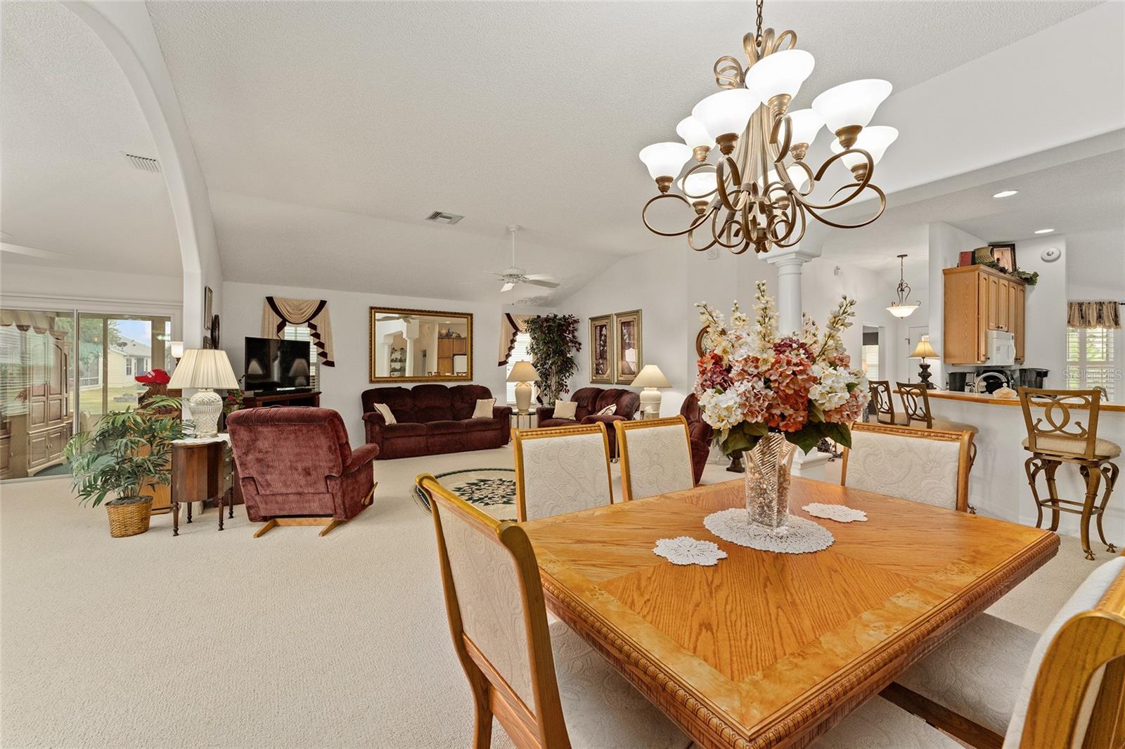 16679 SE 77TH NORTHRIDGE CT, THE VILLAGES, FL, 32162