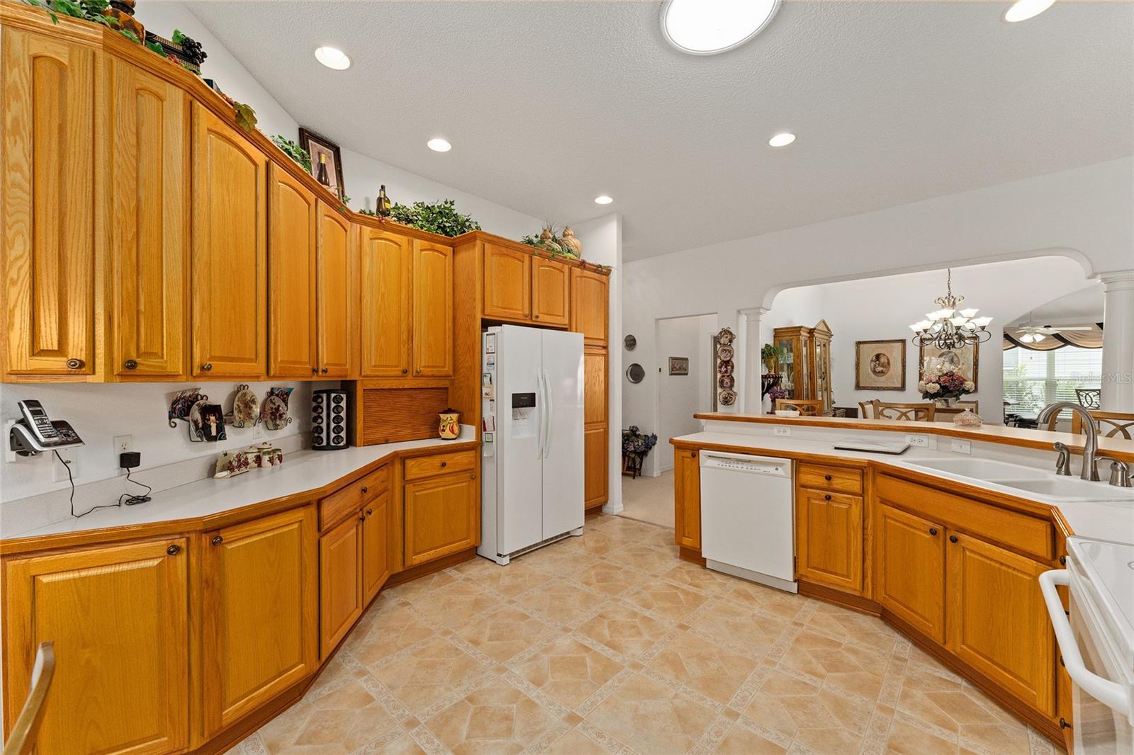 16679 SE 77TH NORTHRIDGE CT, THE VILLAGES, FL, 32162