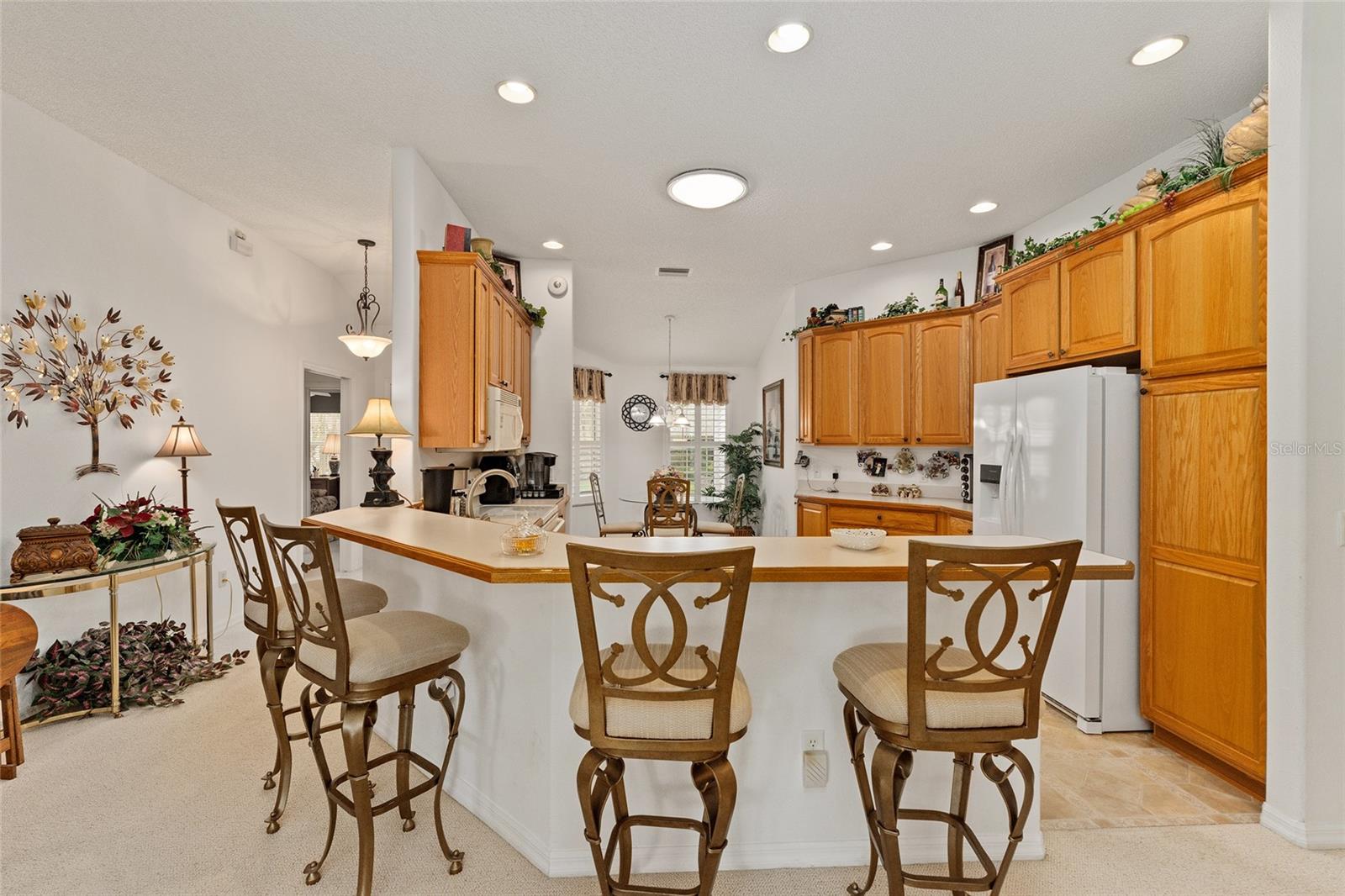 16679 SE 77TH NORTHRIDGE CT, THE VILLAGES, FL, 32162