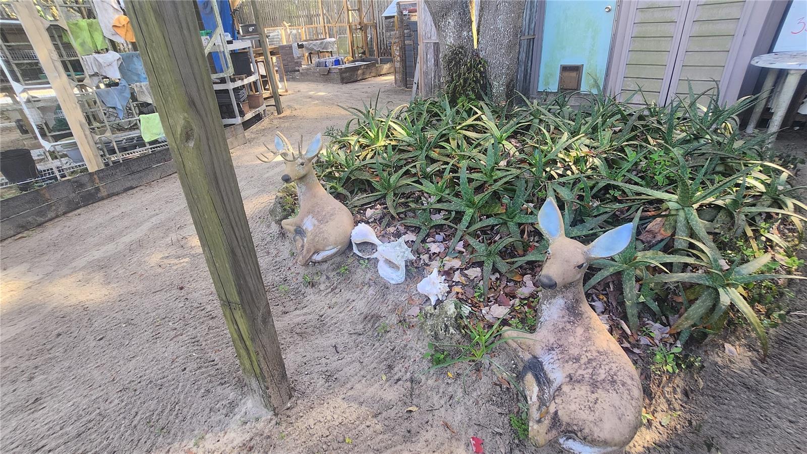 LITTLE LAKE WEIR SUB 1ST ADD, SUMMERFIELD, FL, 34491