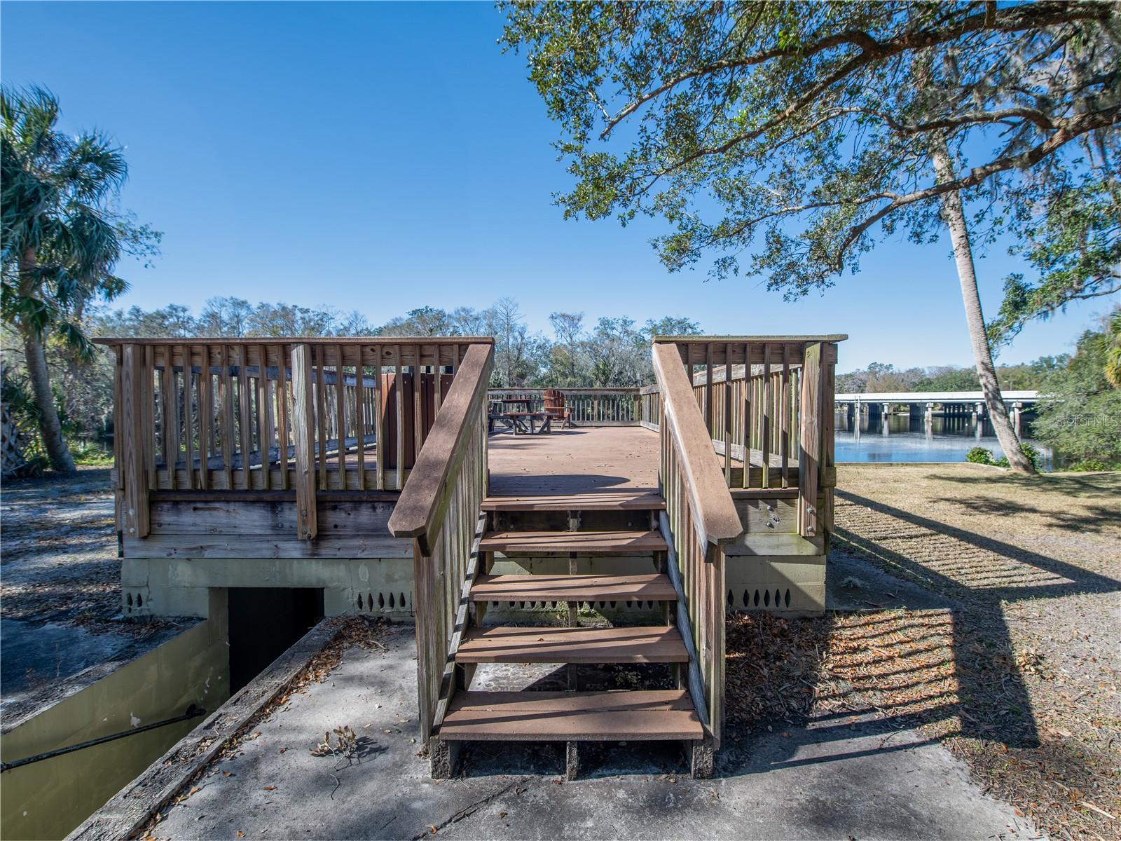 11410 BELLAMAR ST, TEMPLE TERRACE, FL, 33637