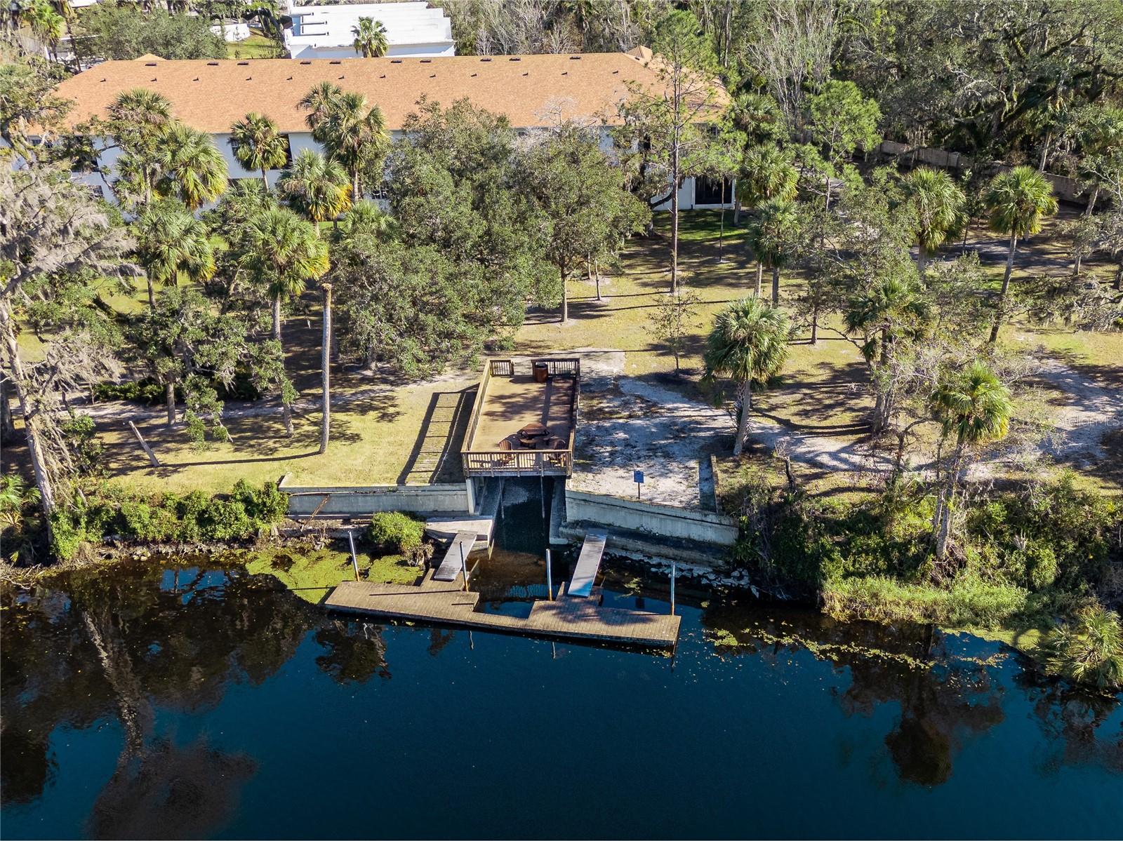 11410 BELLAMAR ST, TEMPLE TERRACE, FL, 33637