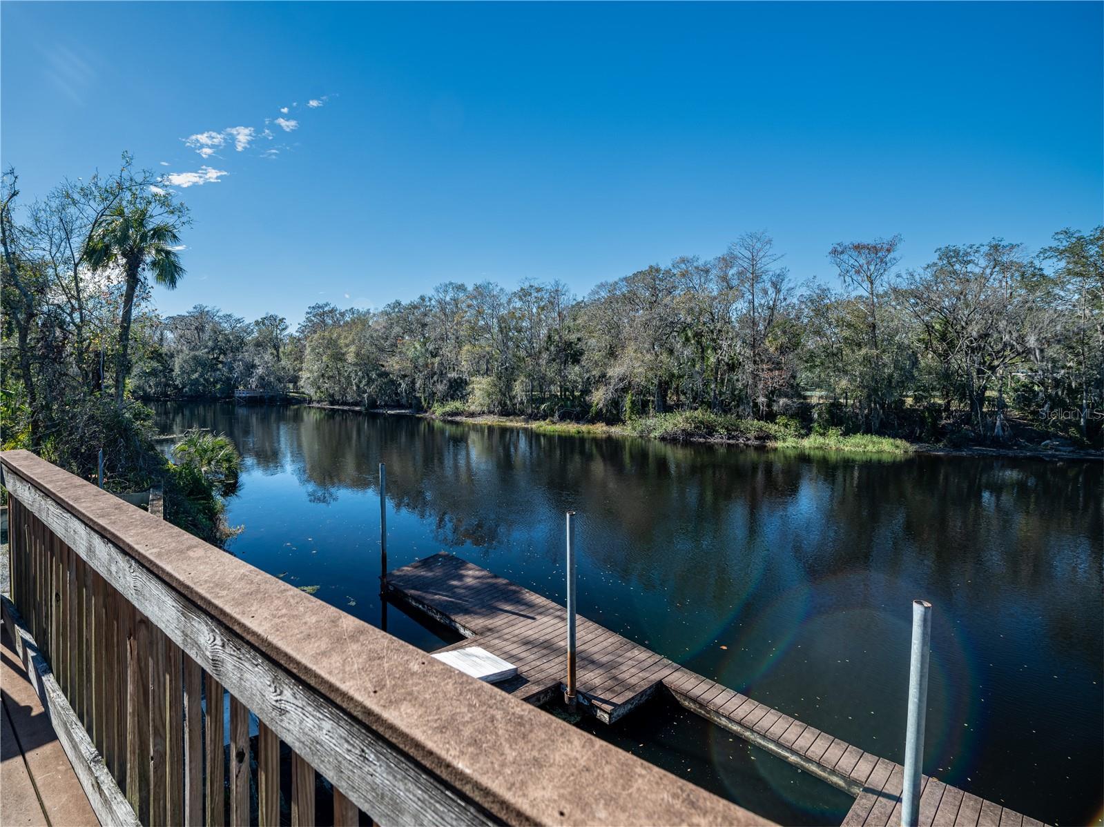 11410 BELLAMAR ST, TEMPLE TERRACE, FL, 33637