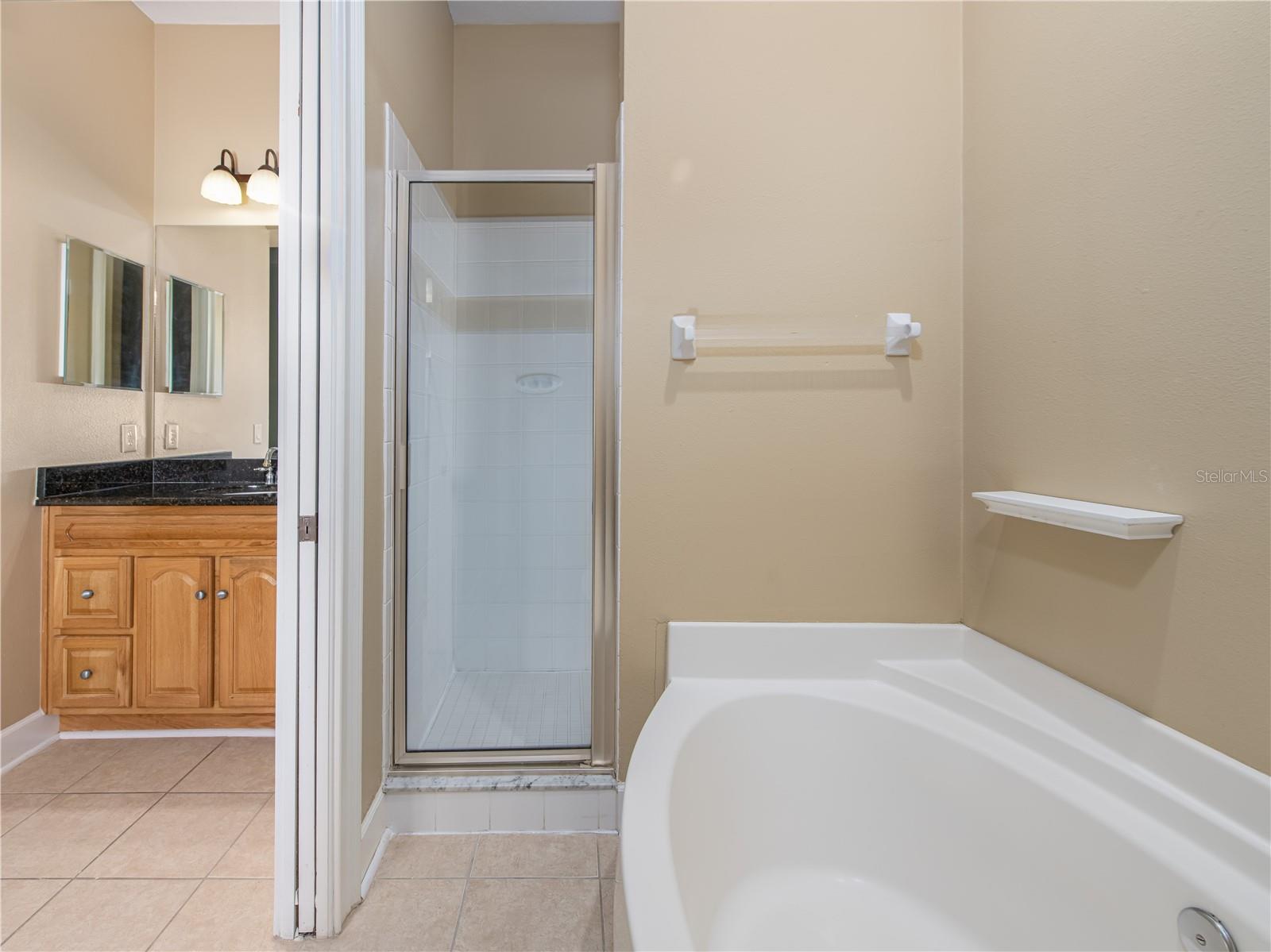 11410 BELLAMAR ST, TEMPLE TERRACE, FL, 33637