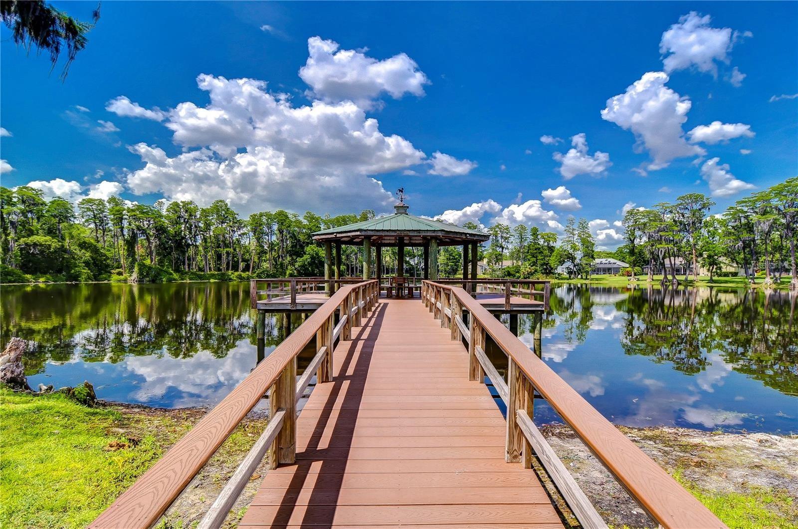 7704 LAKE CYPRESS DR, ODESSA, FL, 33556