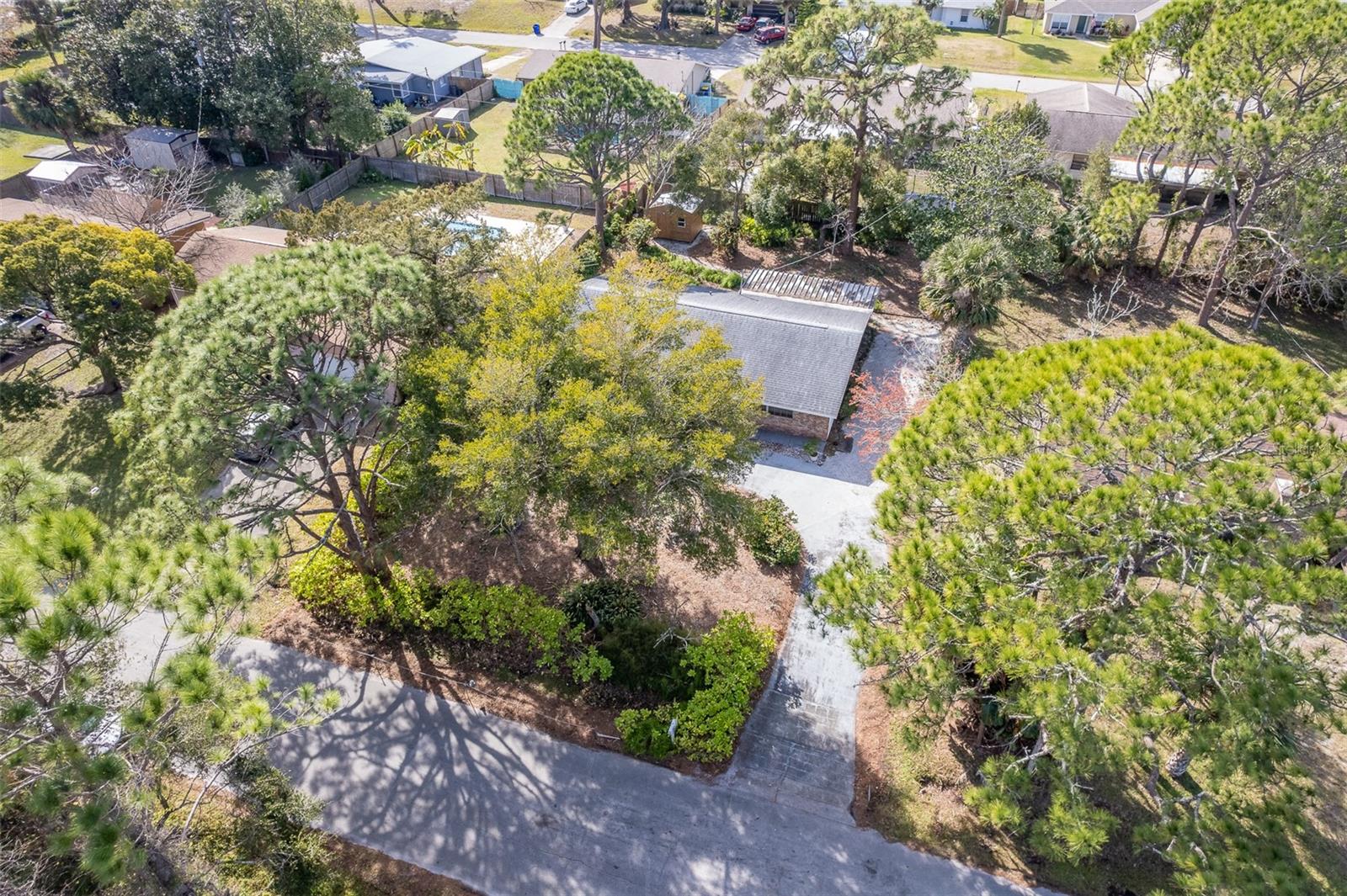 3120 PINE TREE DR, EDGEWATER, FL, 32141