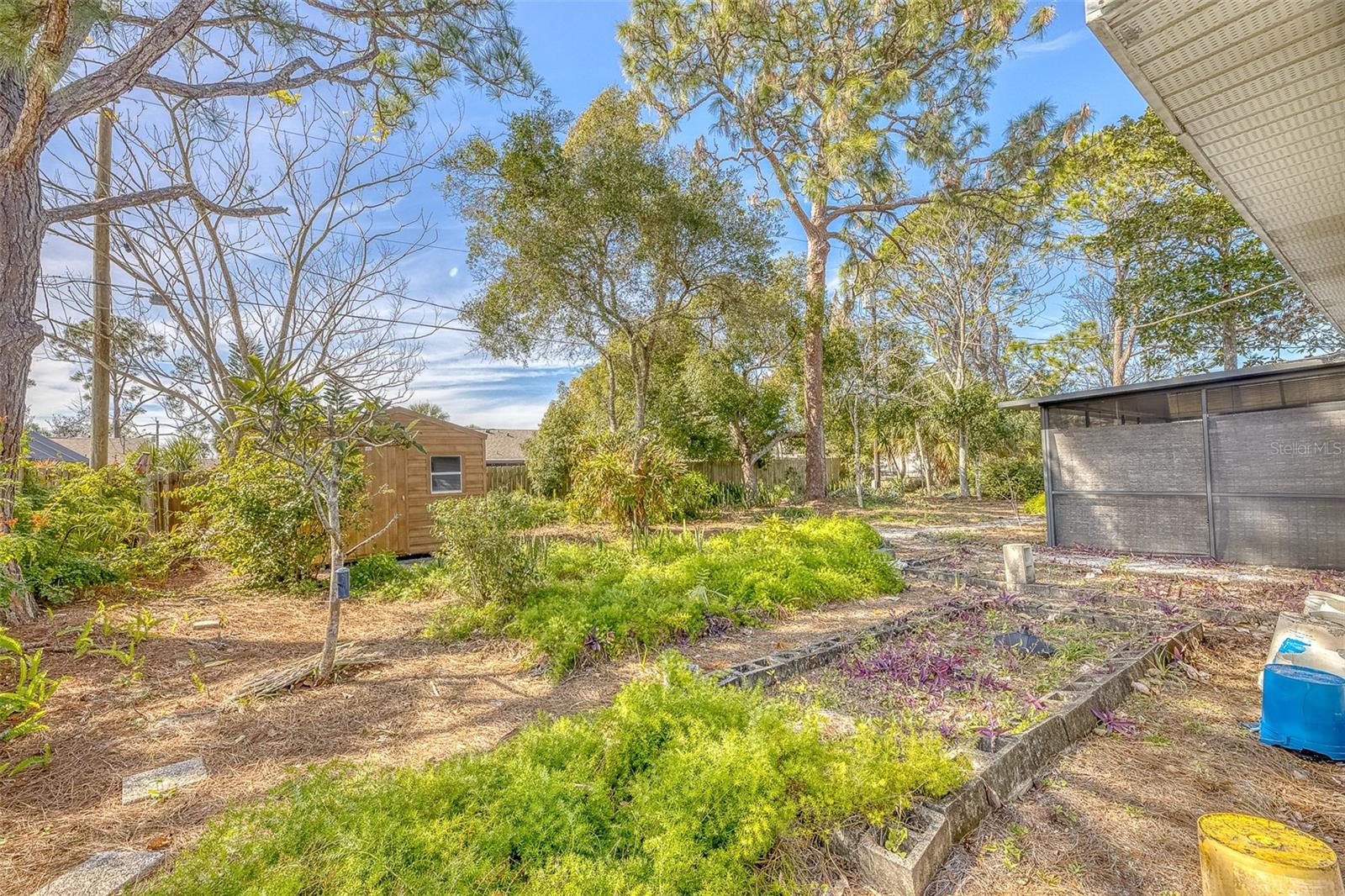 3120 PINE TREE DR, EDGEWATER, FL, 32141