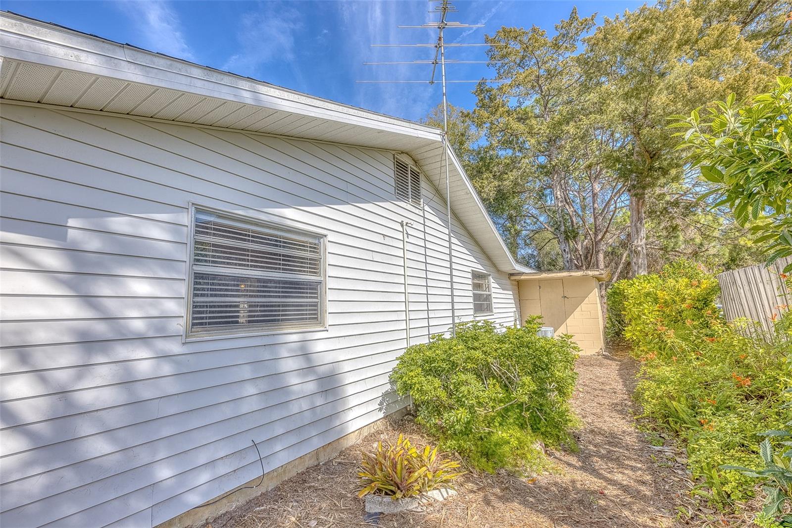 3120 PINE TREE DR, EDGEWATER, FL, 32141